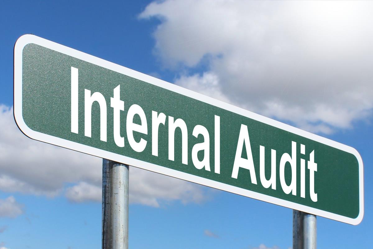 Internal Audits