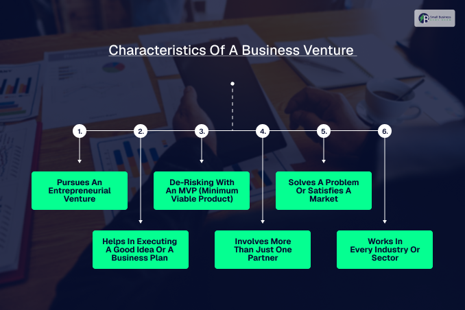 Characteristics Of A Business Venture