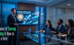 Startup Consulting