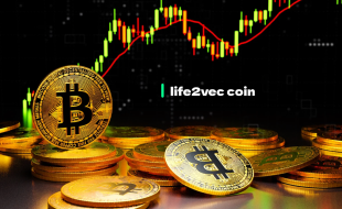 life2vec coin