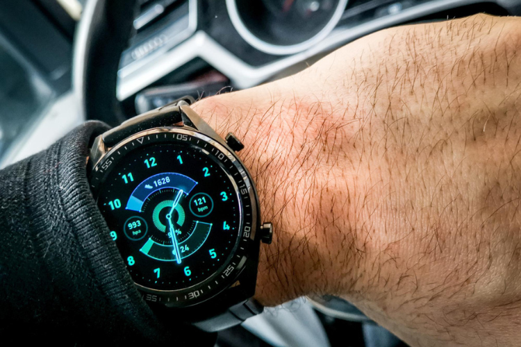 Arctic Watch