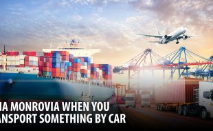 Rena Monrovia When You Move Something By Car
