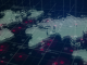 Global Market Trends