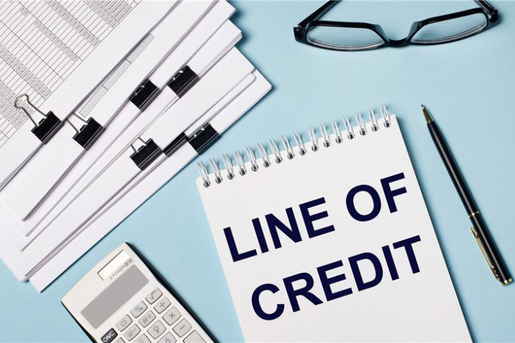 how business line of credit works