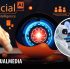 AI insights dualmedia