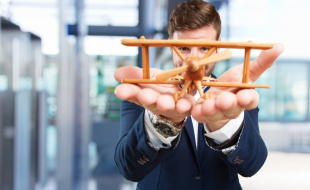Aviation Career