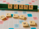 Debt management tips