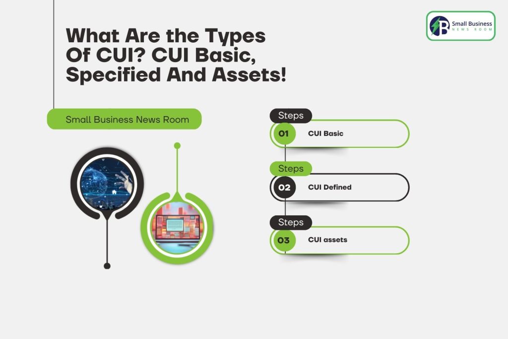 What Are the Types Of CUI_ CUI Basic, Specified And Assets!