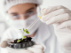 CJ Biomaterials