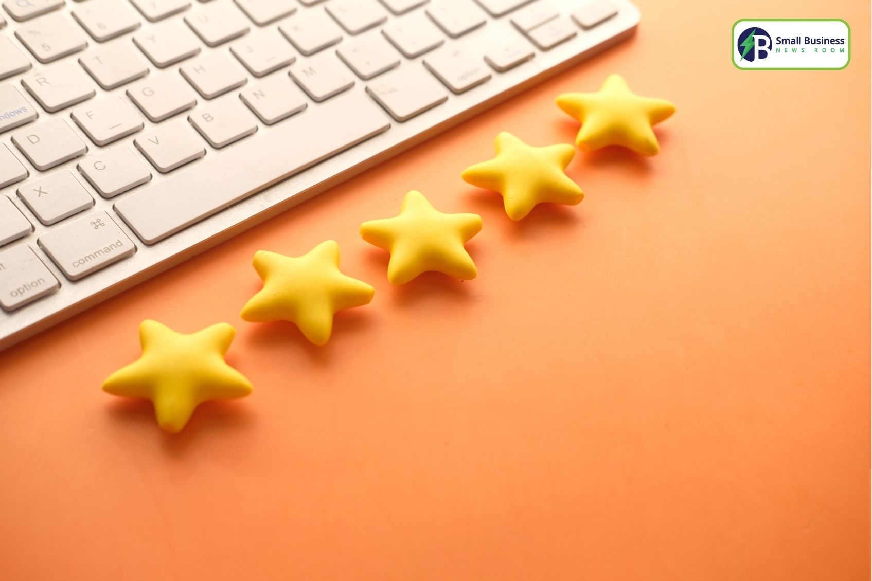 Customer Support And User Feedback