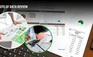 institute of data review