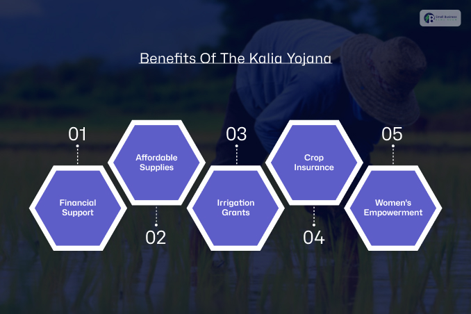 What Are The Major Benefits Of The Kalia Yojana