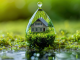 Environmental Knowledge For Property Investments