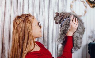 maine coon training