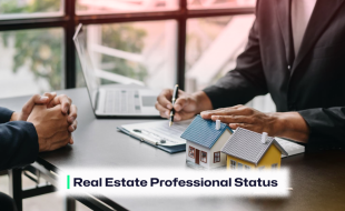 Real Estate Professional Status