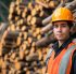 Certified Arborist