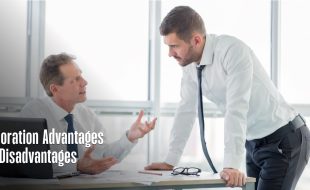 Corporation Advantages And Disadvantages