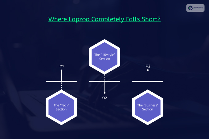 Where Lapzoo Completely Falls Short