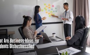 what are business ideas for students disbusinessfied