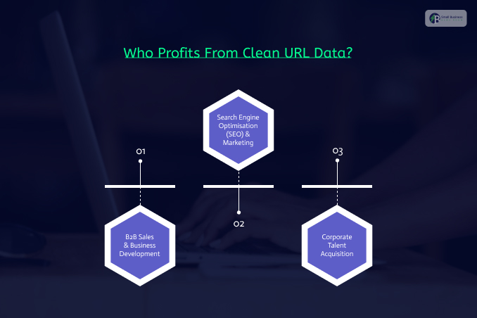 Cross-Departmental Value: Who Profits From Clean URL Data?